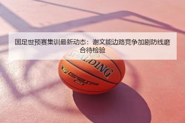 国足世预赛集训最新动态：谢文能边路竞争加剧防线磨合待检验